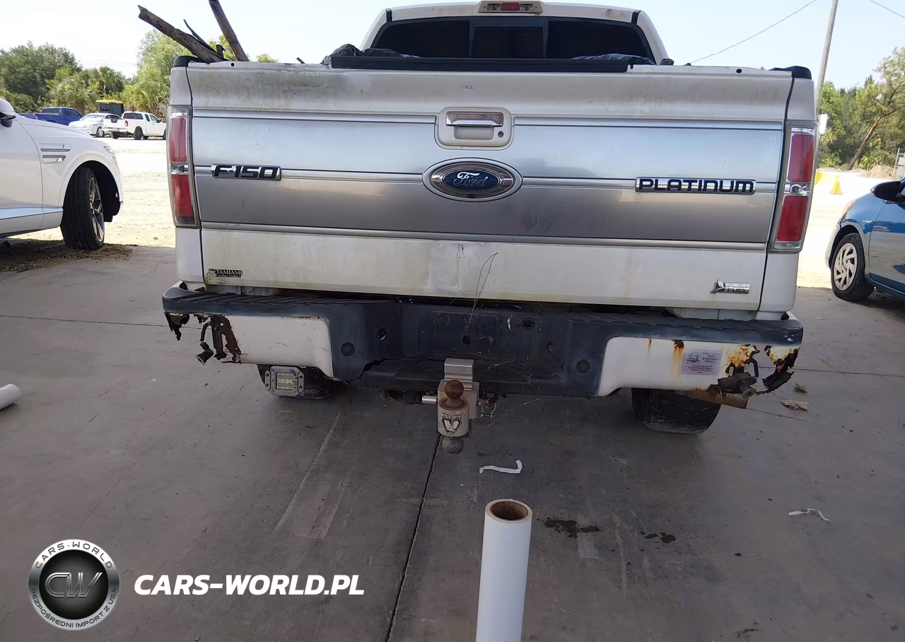 2010 Ford F-150 Fx4-Harley-Davidson-King Ranch-Lariat-Platinum-Xl-Xlt VIN:1FTFW1EV3AFB42991 - 16