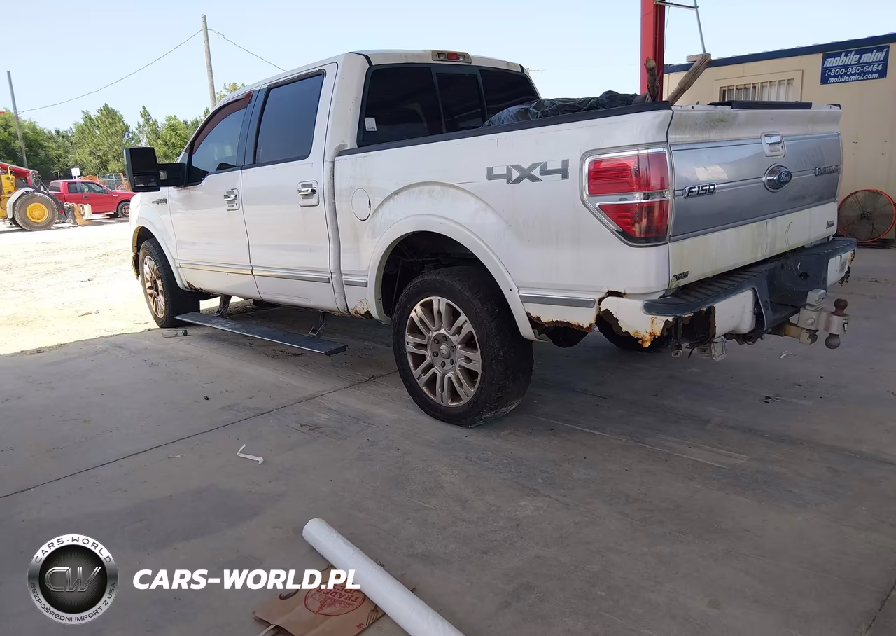 2010 Ford F-150 Fx4-Harley-Davidson-King Ranch-Lariat-Platinum-Xl-Xlt VIN:1FTFW1EV3AFB42991 - 3