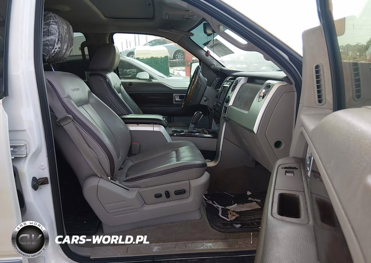 2010 Ford F-150 Fx4-Harley-Davidson-King Ranch-Lariat-Platinum-Xl-Xlt VIN:1FTFW1EV3AFB42991 - 5
