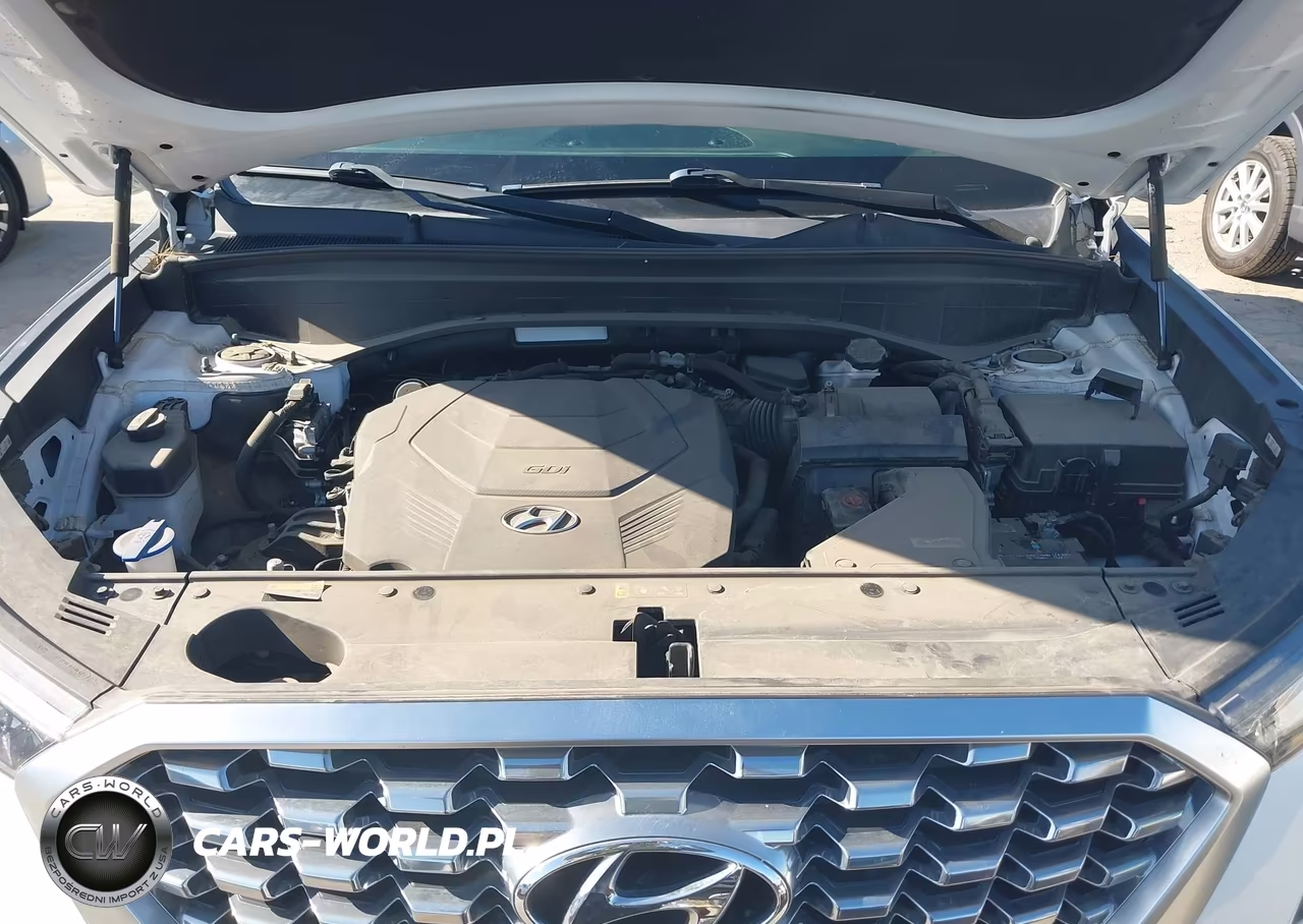 2020 Hyundai Palisade Sel VIN:KM8R34HE0LU094136 - 10