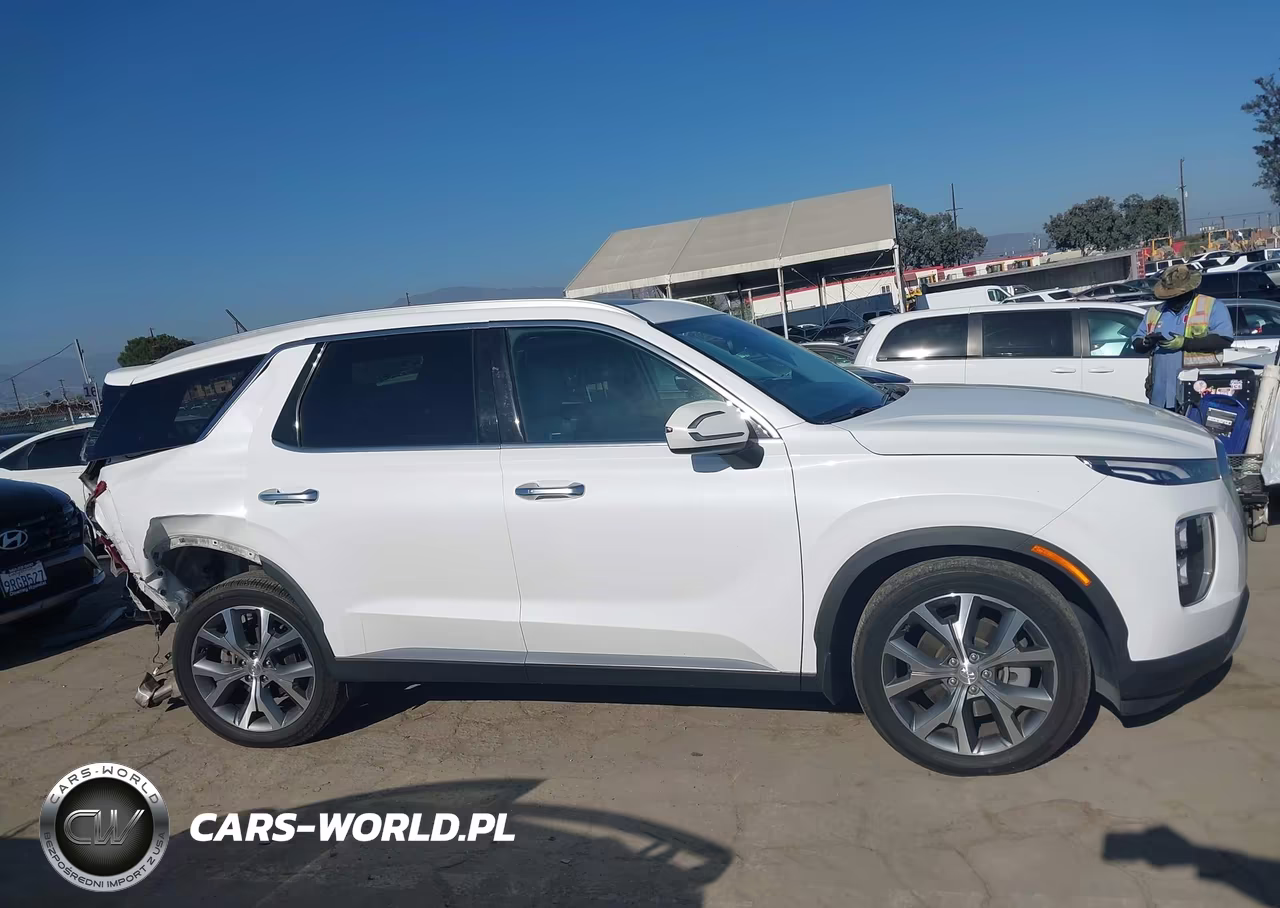 2020 Hyundai Palisade Sel VIN:KM8R34HE0LU094136 - 13