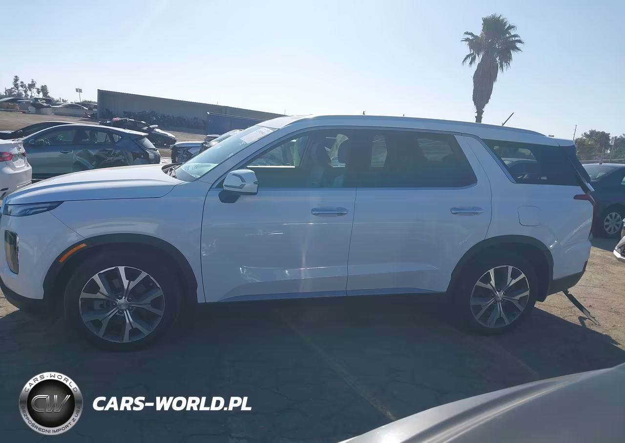 2020 Hyundai Palisade Sel VIN:KM8R34HE0LU094136 - 14