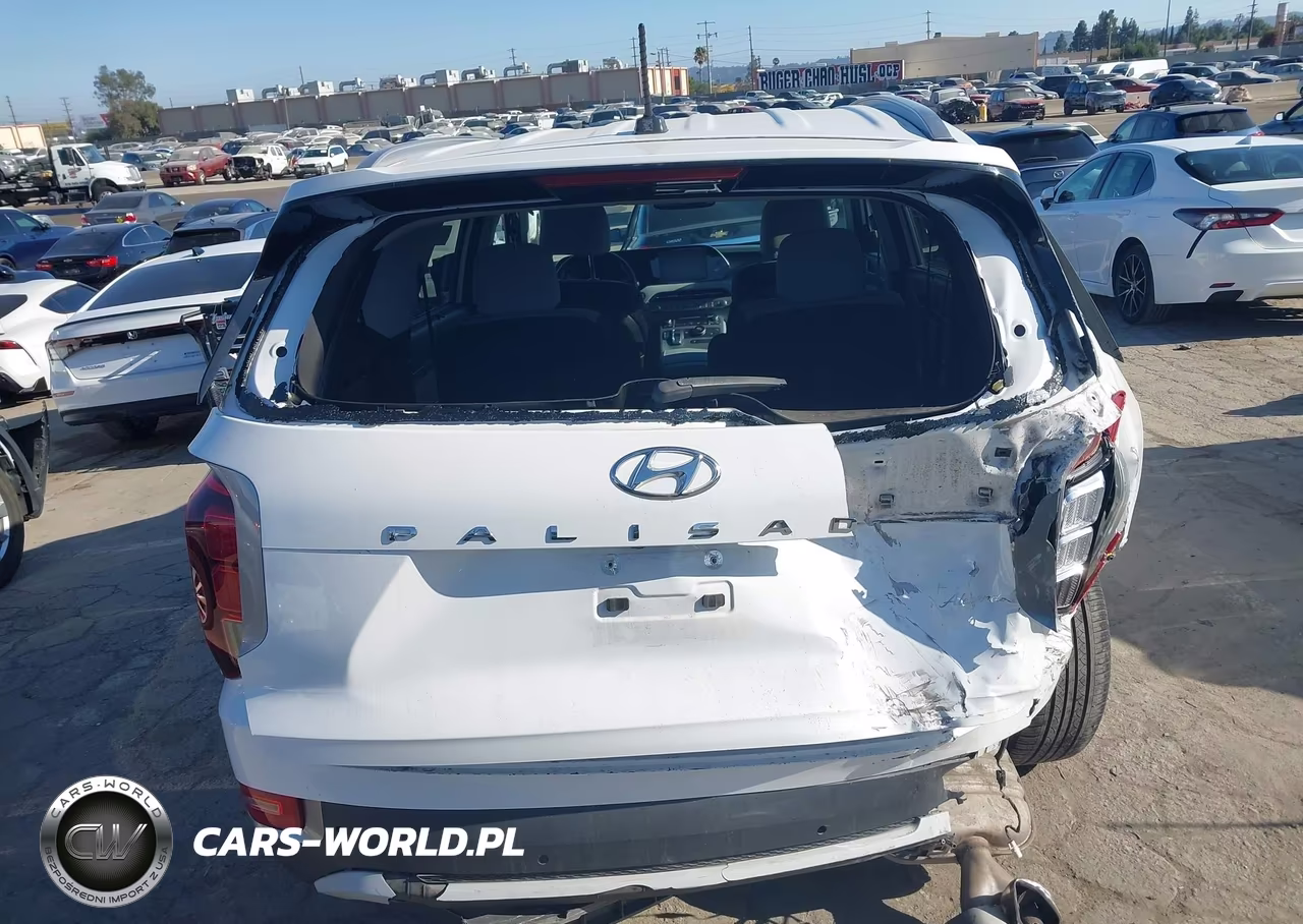 2020 Hyundai Palisade Sel VIN:KM8R34HE0LU094136 - 16