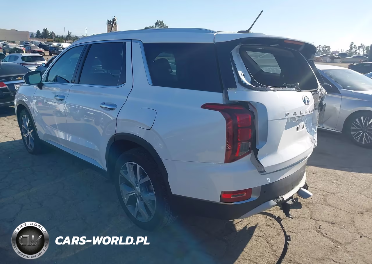 2020 Hyundai Palisade Sel VIN:KM8R34HE0LU094136 - 3
