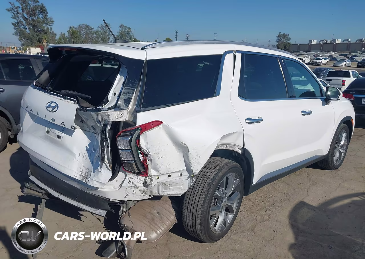 2020 Hyundai Palisade Sel VIN:KM8R34HE0LU094136 - 4