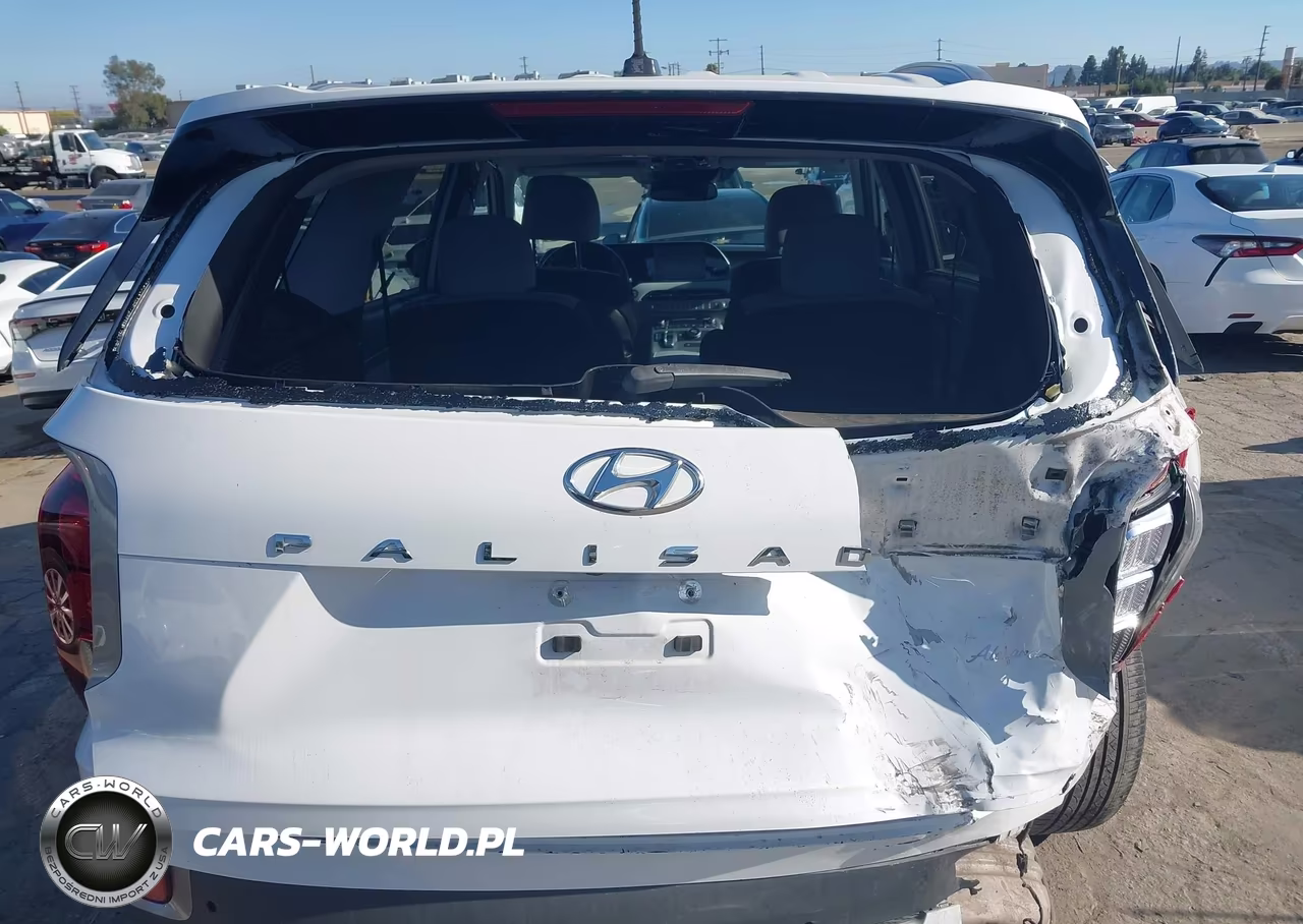 2020 Hyundai Palisade Sel VIN:KM8R34HE0LU094136 - 6