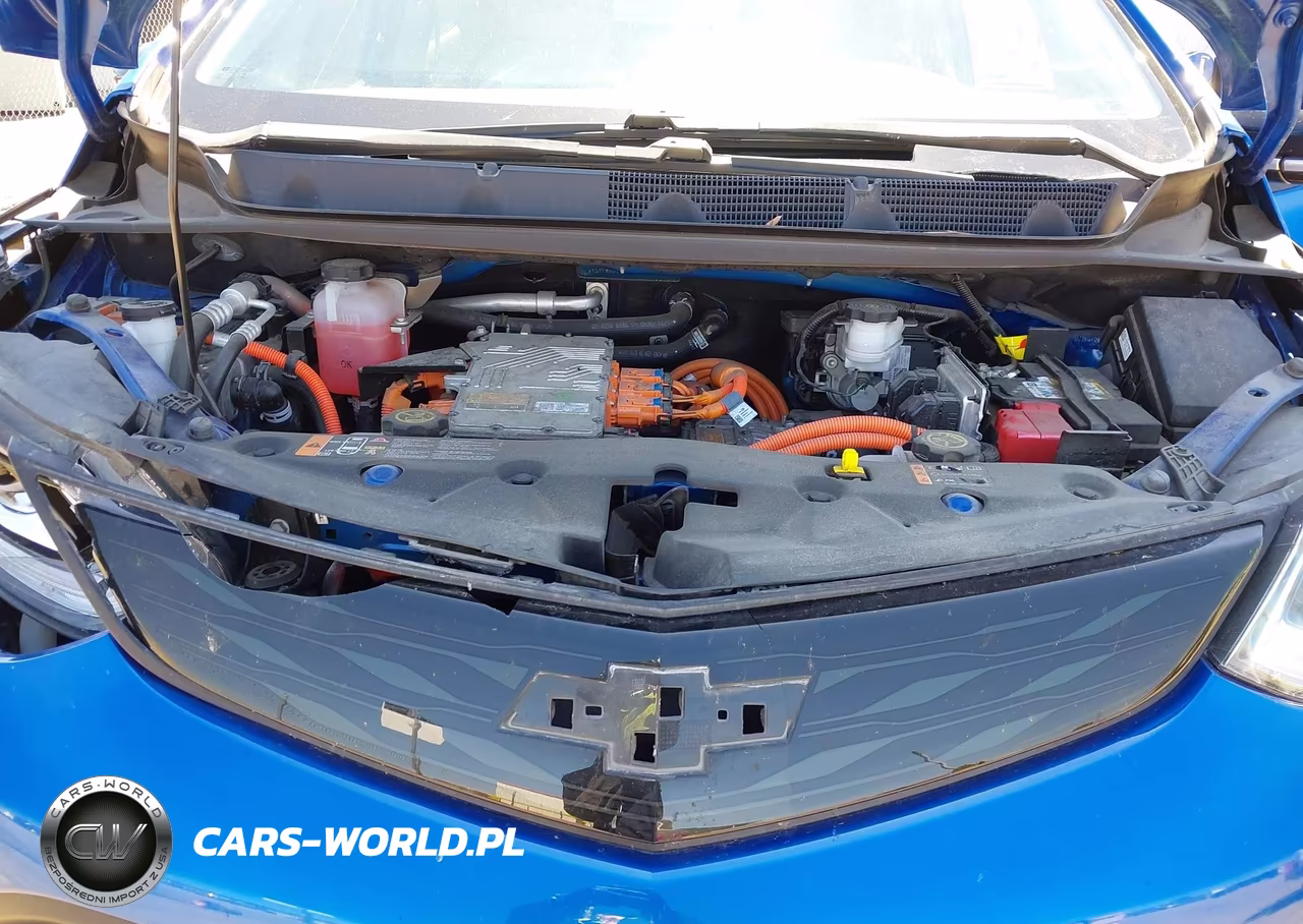 2018 Chevrolet Bolt Ev Lt VIN:1G1FW6S03J4109984 - 10