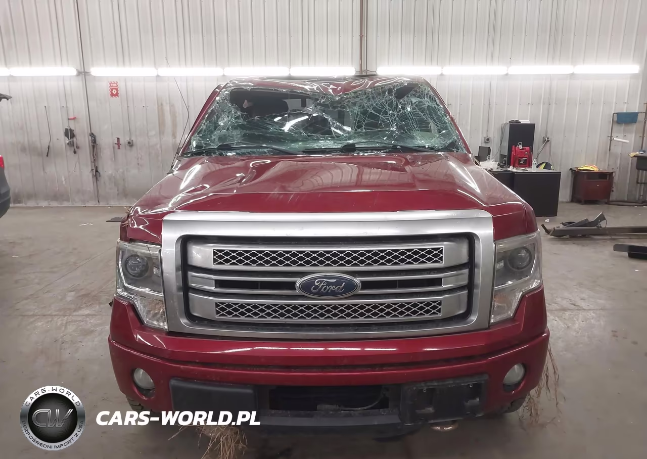 2013 Ford F-150 Platinum VIN:1FTFW1ET6DFD26776 - 13