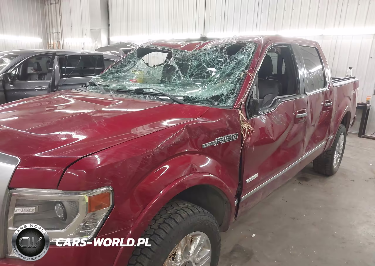 2013 Ford F-150 Platinum VIN:1FTFW1ET6DFD26776 - 6