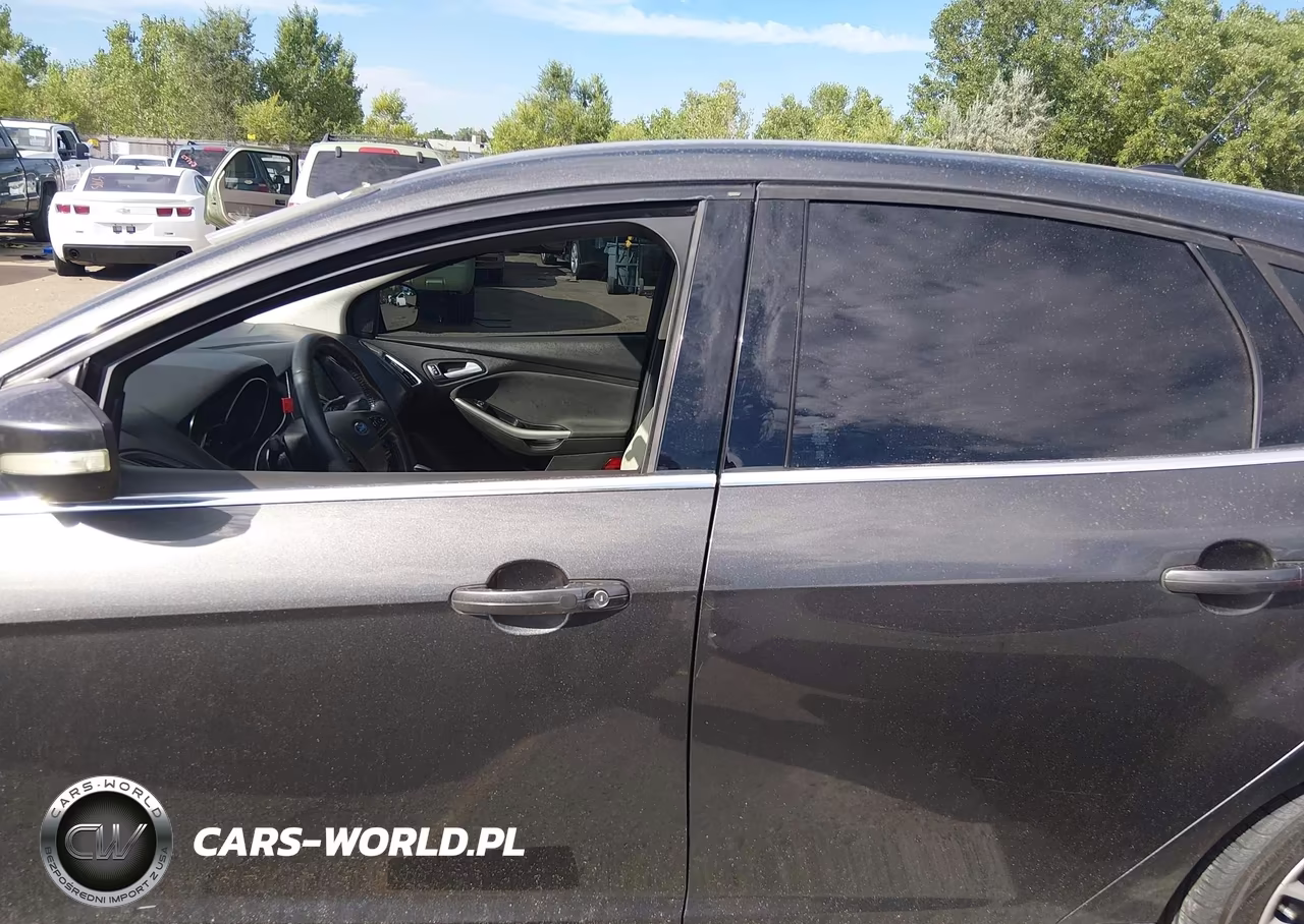2016 Ford Focus Titanium VIN:1FADP3N29GL315936 - 15