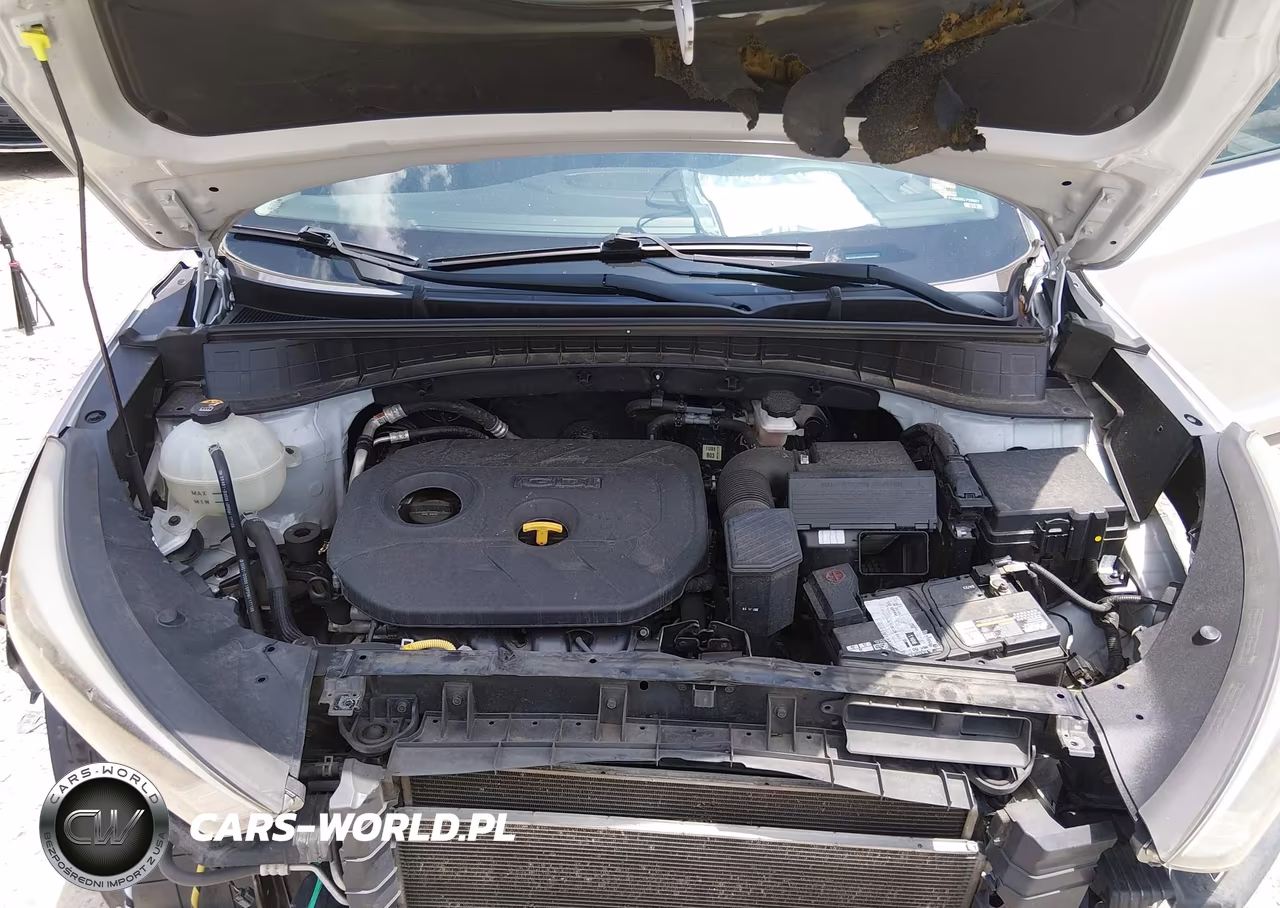 2018 Hyundai Tucson Sel Plus VIN:KM8J33A44JU643066 - 10