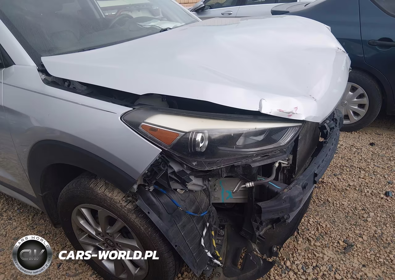 2018 Hyundai Tucson Sel Plus VIN:KM8J33A44JU643066 - 19