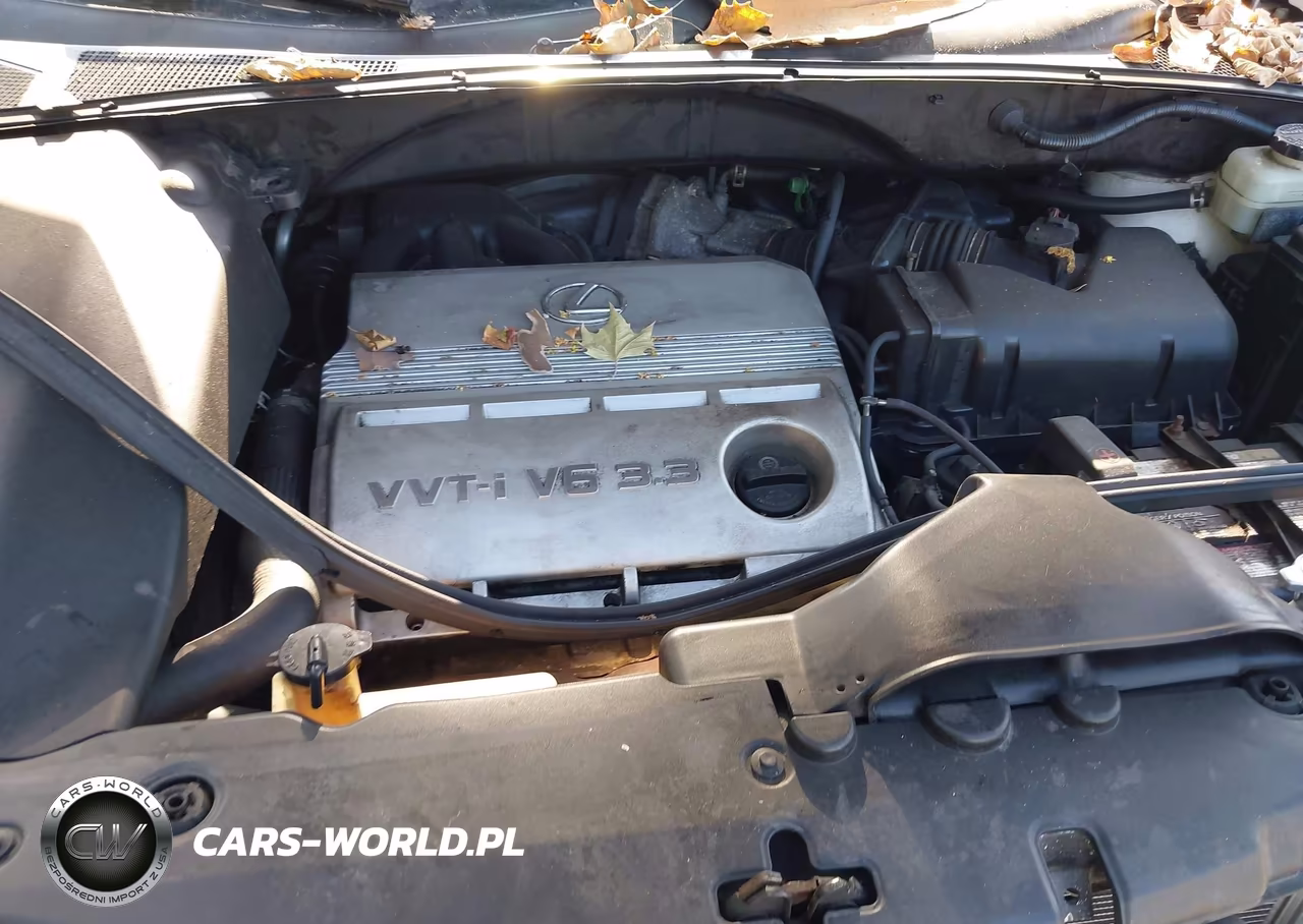 2005 Lexus Rx 330 VIN:JTJHA31U950083984 - 10