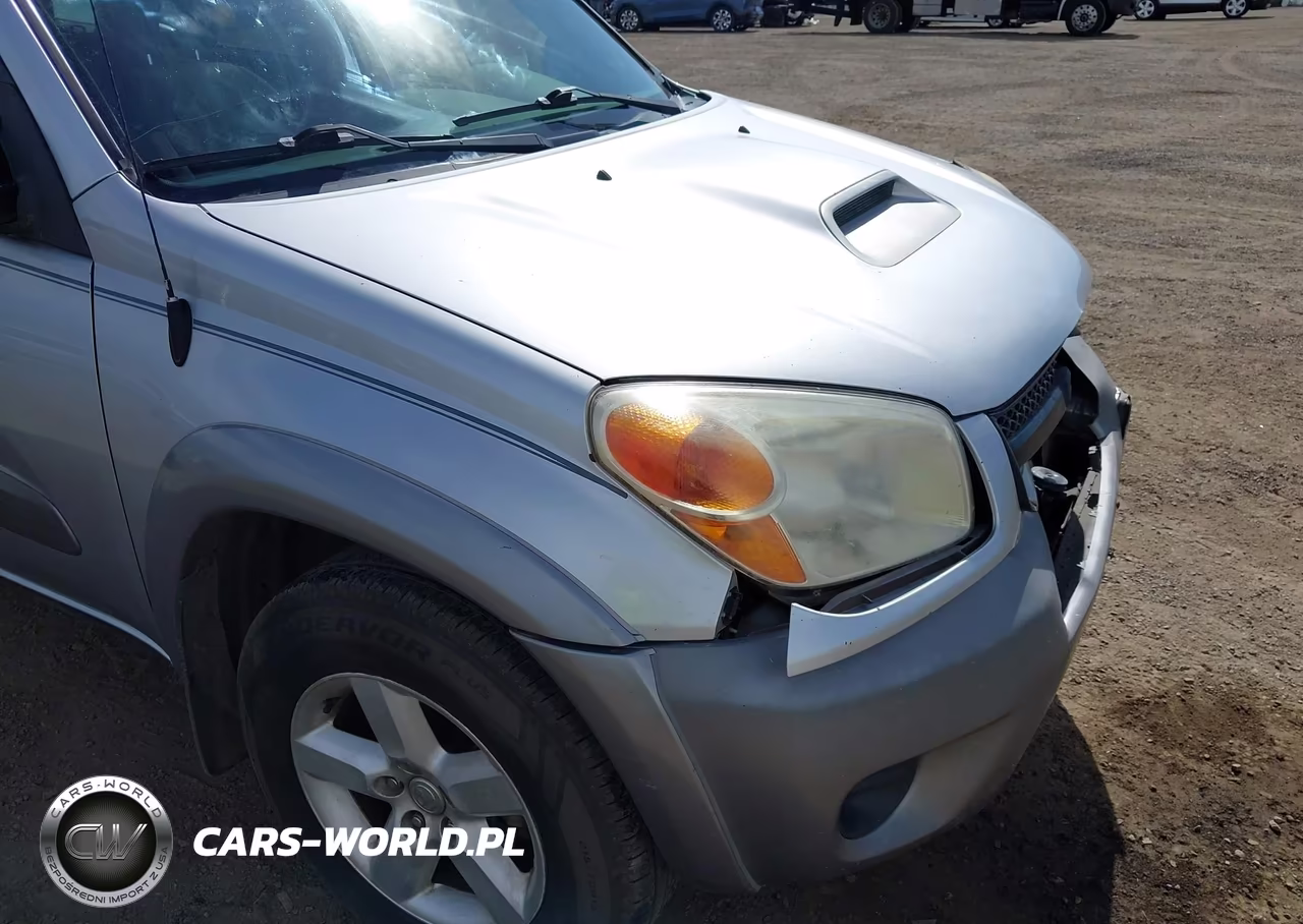 2004 Toyota Rav4 VIN:JTEHD20V846002270 - 18