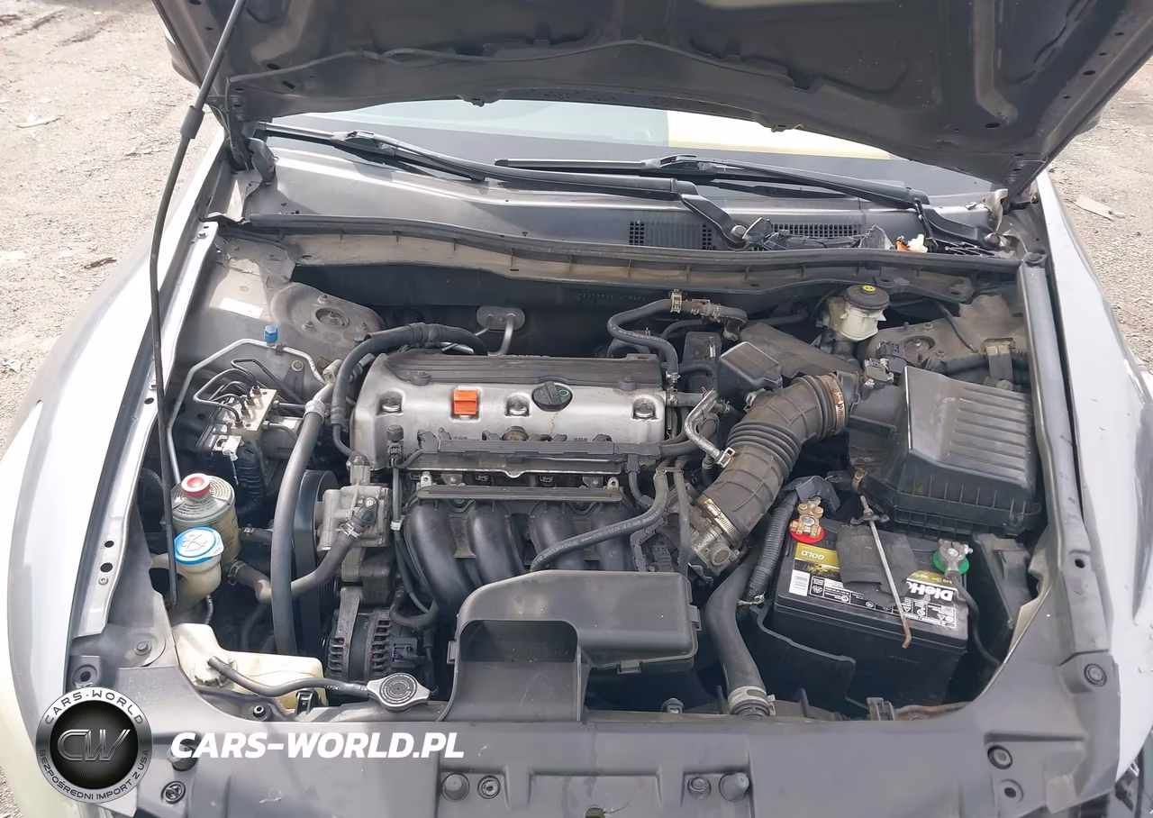 2010 Honda Accord 2.4 Lx VIN:1HGCP2F35AA196567 - 10