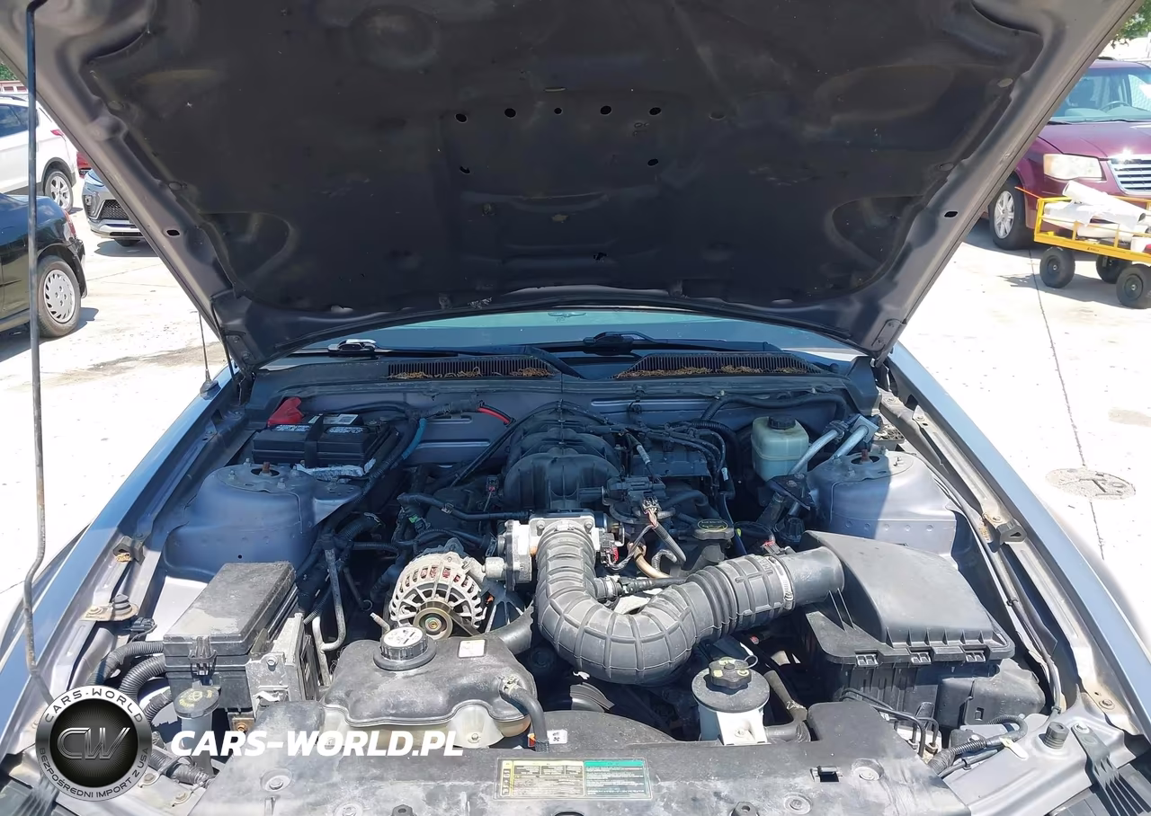 2006 Ford Mustang V6 VIN:1ZVHT84N165219928 - 10