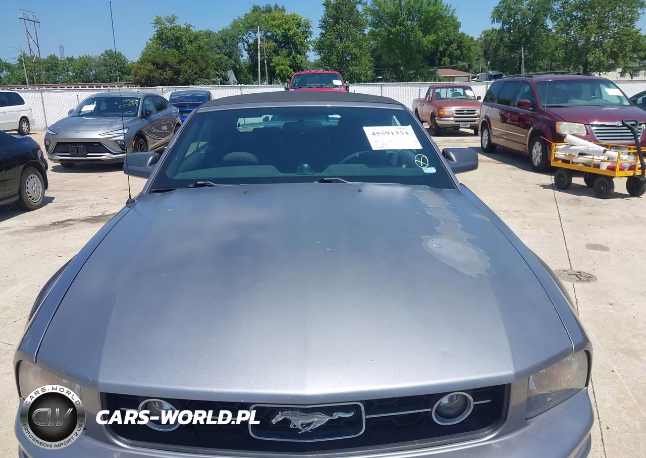 2006 Ford Mustang V6 VIN:1ZVHT84N165219928 - 12