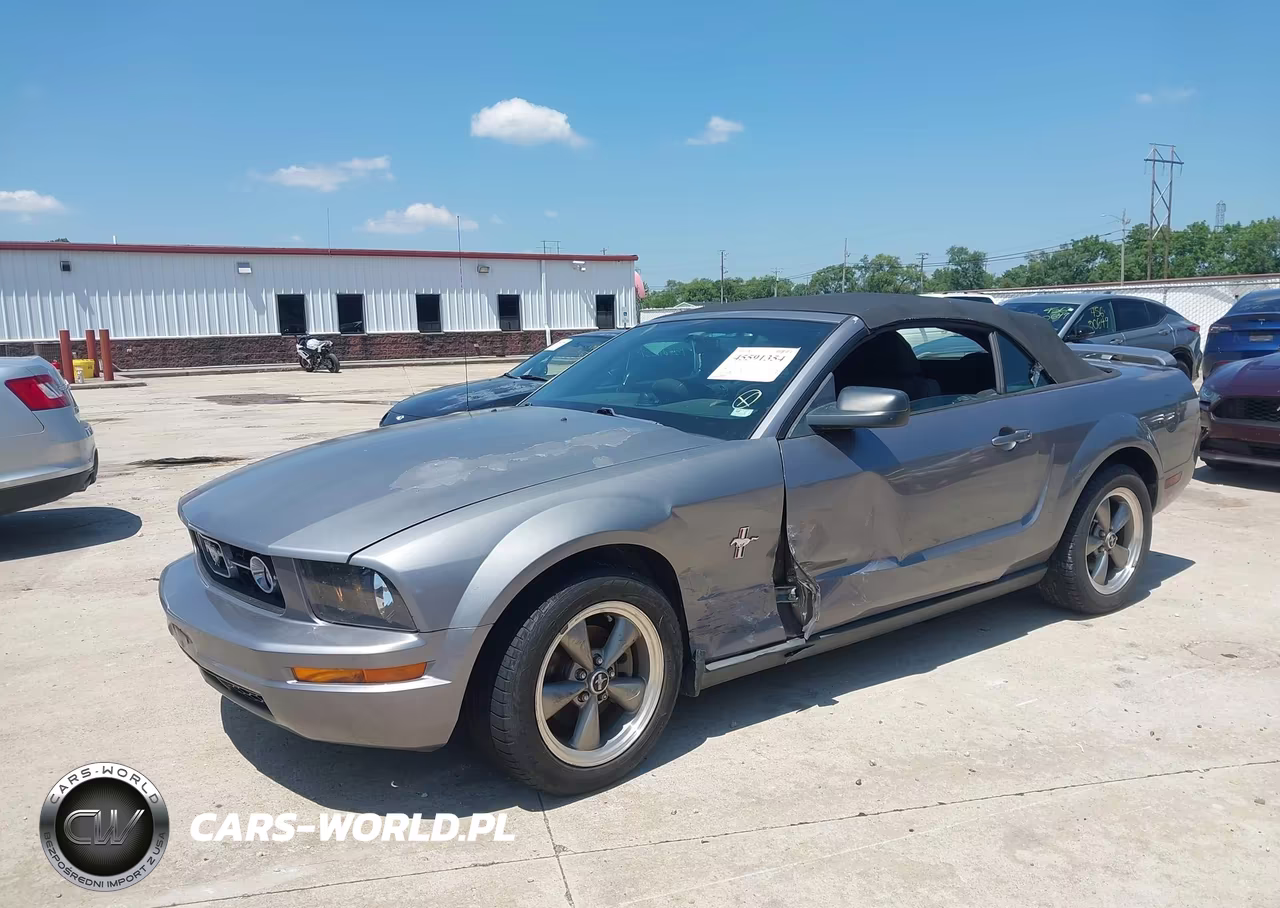 2006 Ford Mustang V6 VIN:1ZVHT84N165219928 - 2