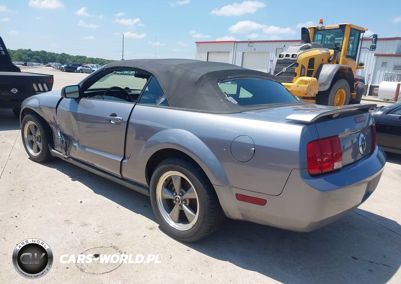 2006 Ford Mustang V6 VIN:1ZVHT84N165219928 - 3