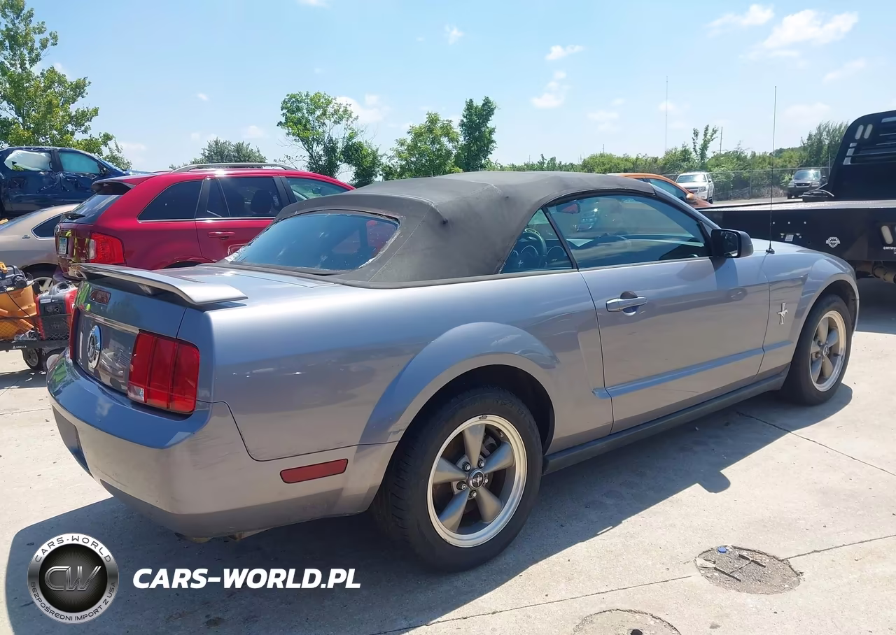 2006 Ford Mustang V6 VIN:1ZVHT84N165219928 - 4