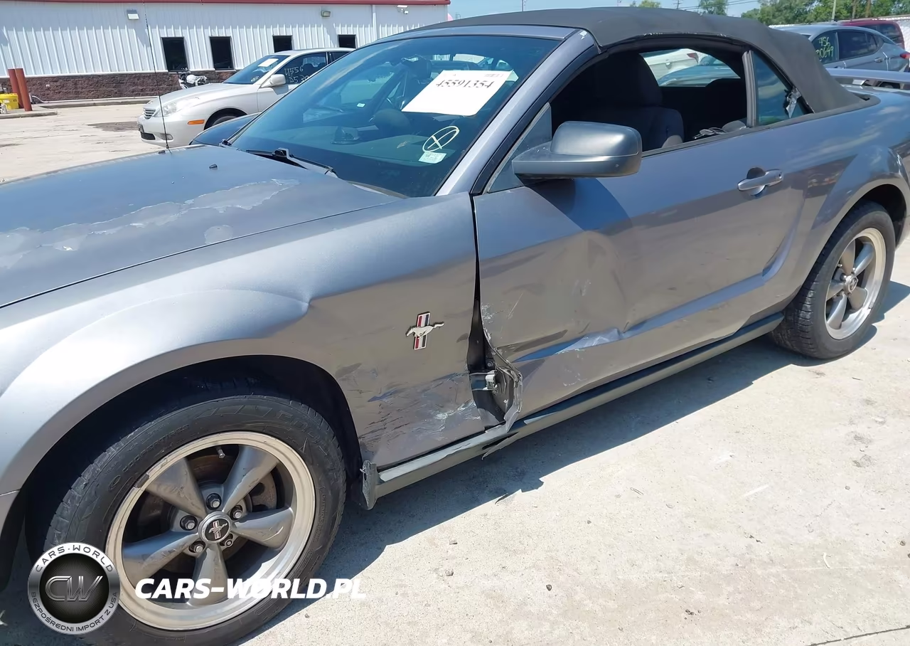 2006 Ford Mustang V6 VIN:1ZVHT84N165219928 - 6