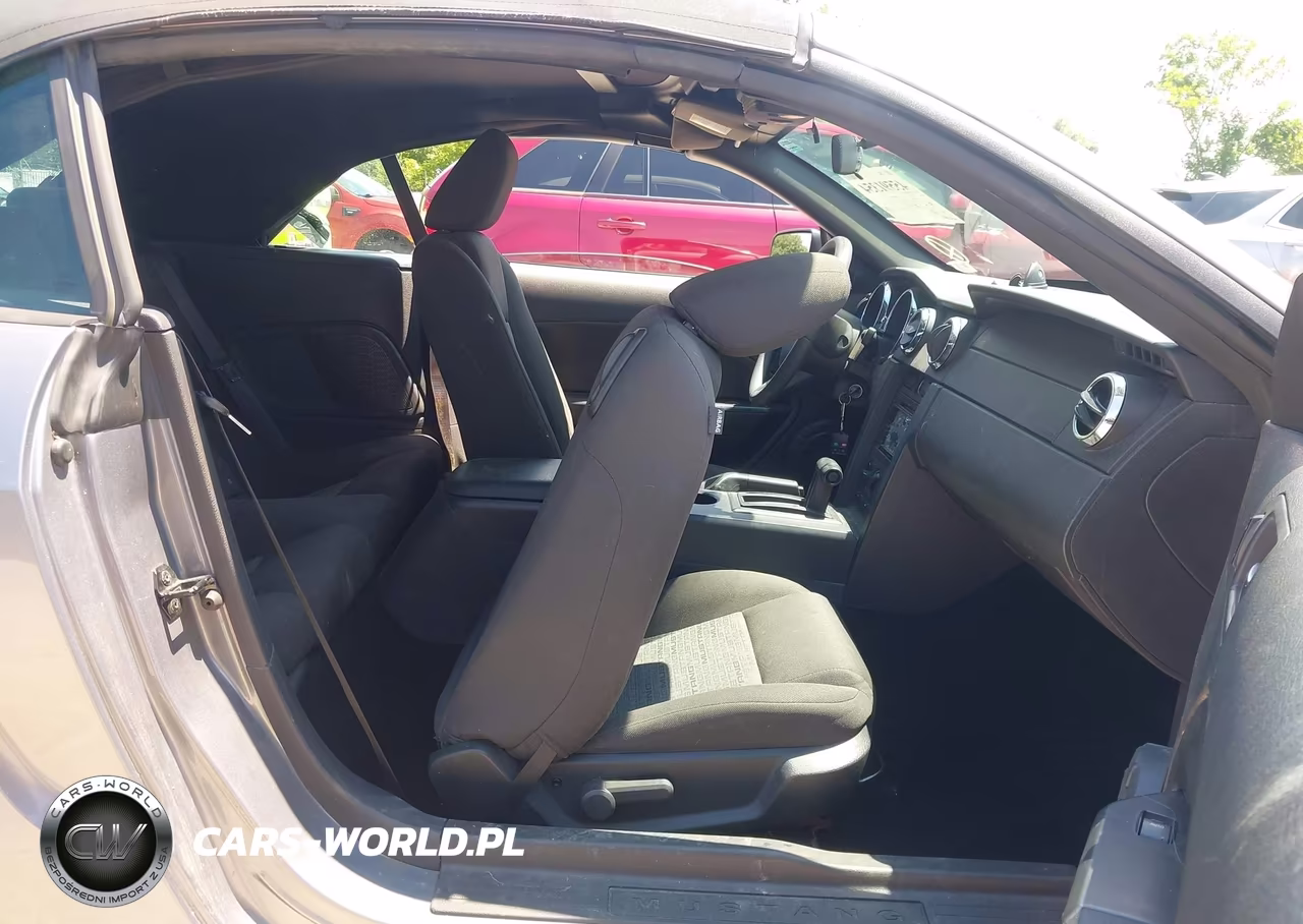 2006 Ford Mustang V6 VIN:1ZVHT84N165219928 - 8