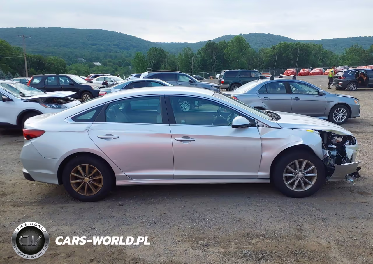 2018 Hyundai Sonata Se VIN:5NPE24AF7JH617118 - 13