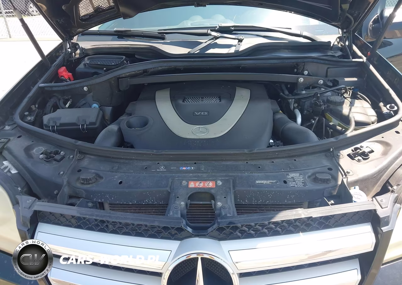 2010 Mercedes-Benz Gl 450 4Matic VIN:4JGBF7BE3AA588976 - 10