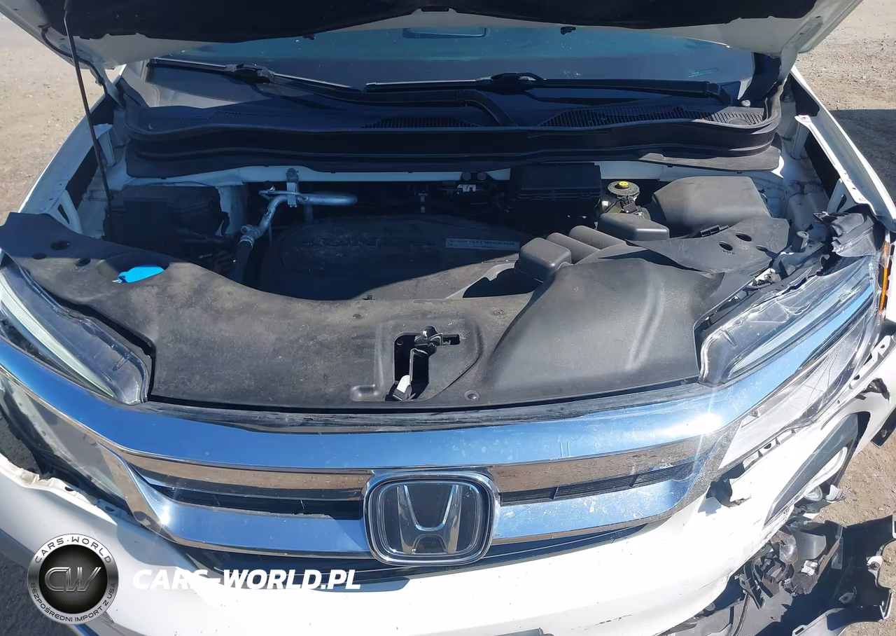 2019 Honda Pilot Elite VIN:5FNYF6H08KB029579 - 10