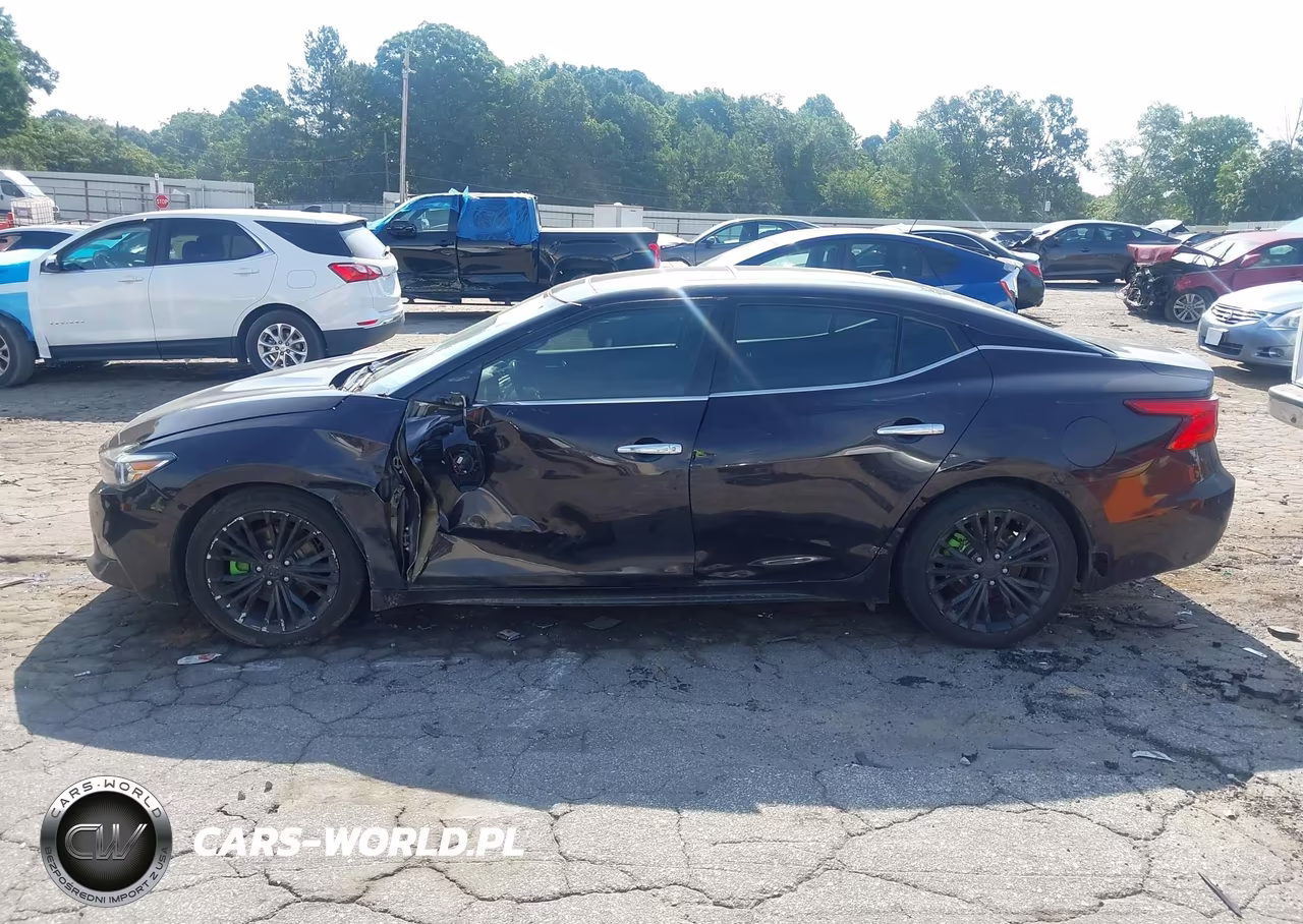 2016 Nissan Maxima 3.5 Platinum VIN:1N4AA6AP6GC433675 - 14