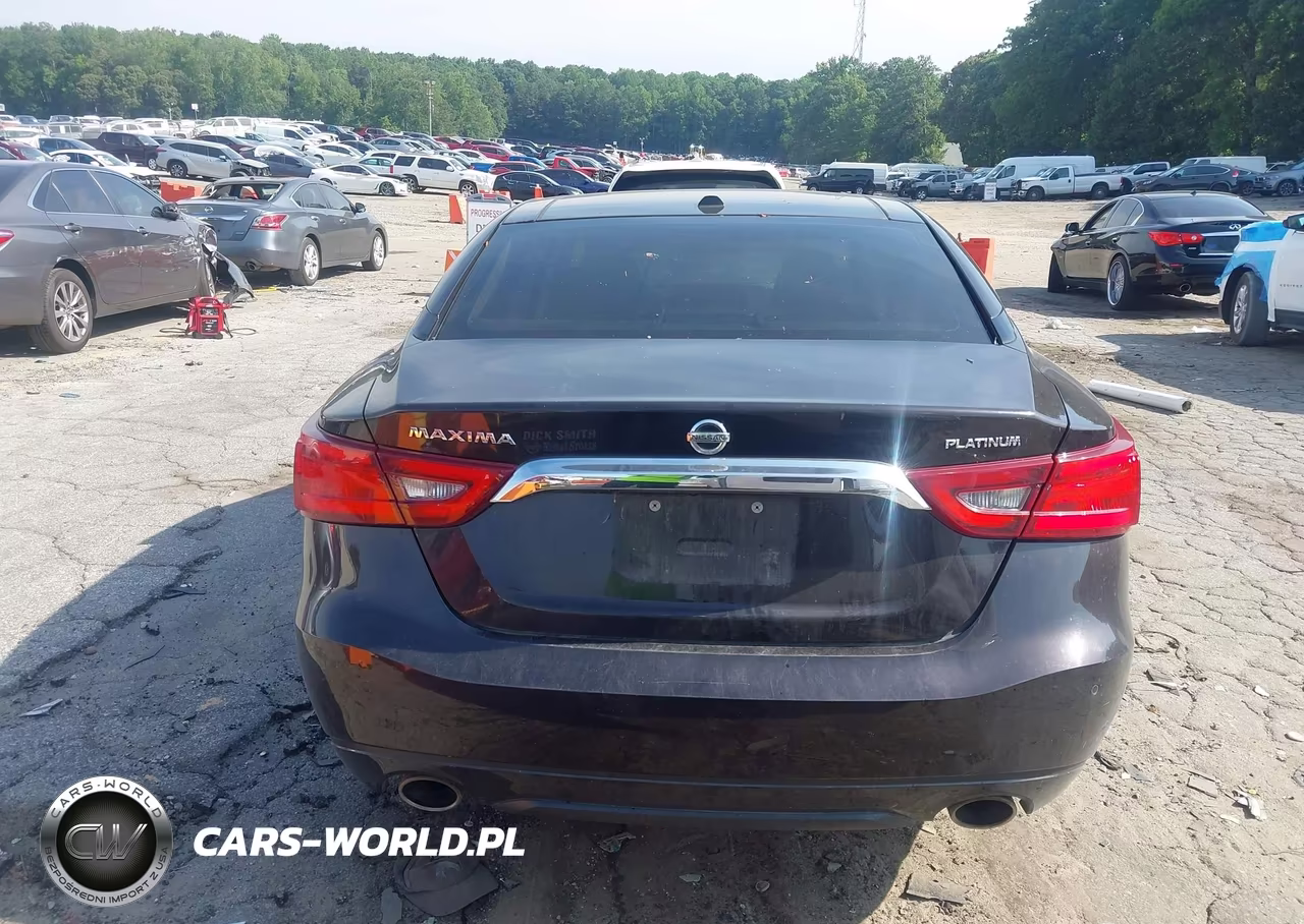 2016 Nissan Maxima 3.5 Platinum VIN:1N4AA6AP6GC433675 - 16