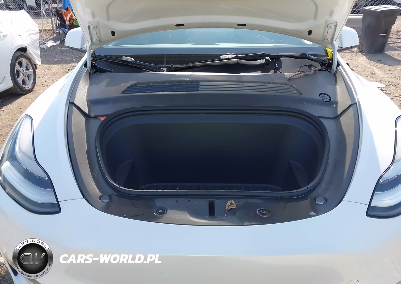 2021 Tesla Model Y Standard Range Rear-Wheel Drive VIN:5YJYGDED2MF105910 - 10