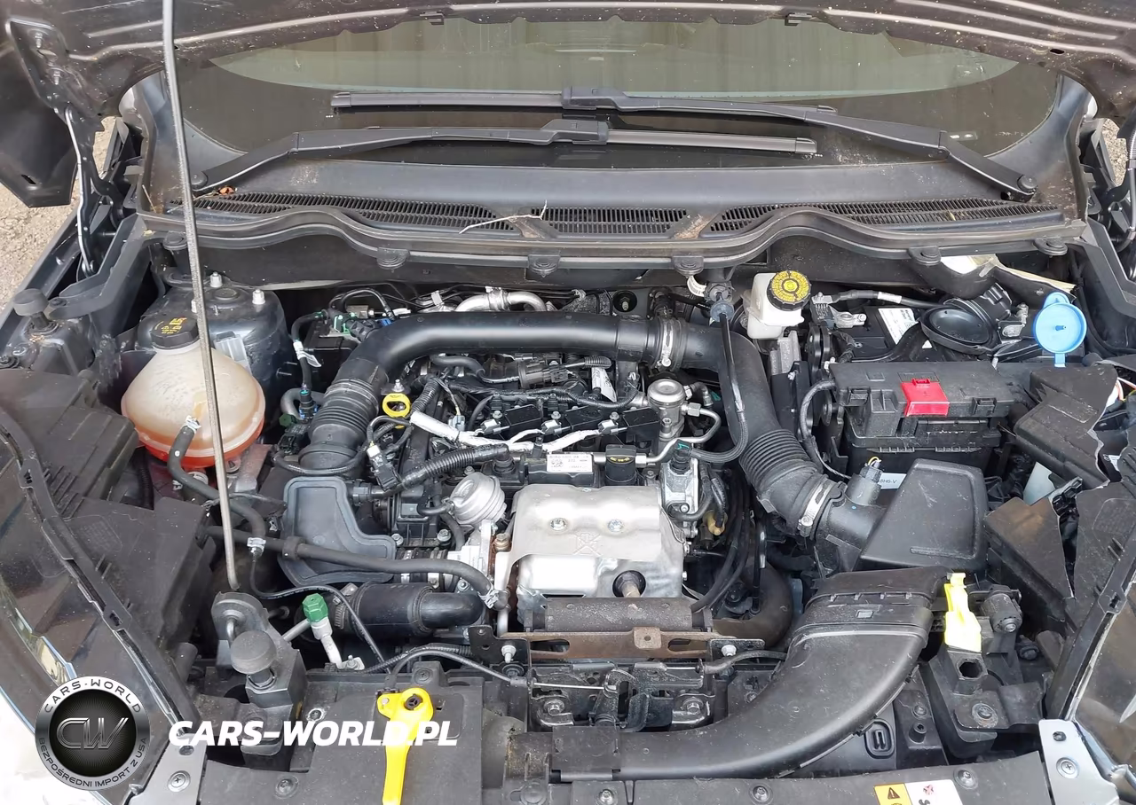 2018 Ford Ecosport Se VIN:MAJ3P1TE5JC215899 - 10