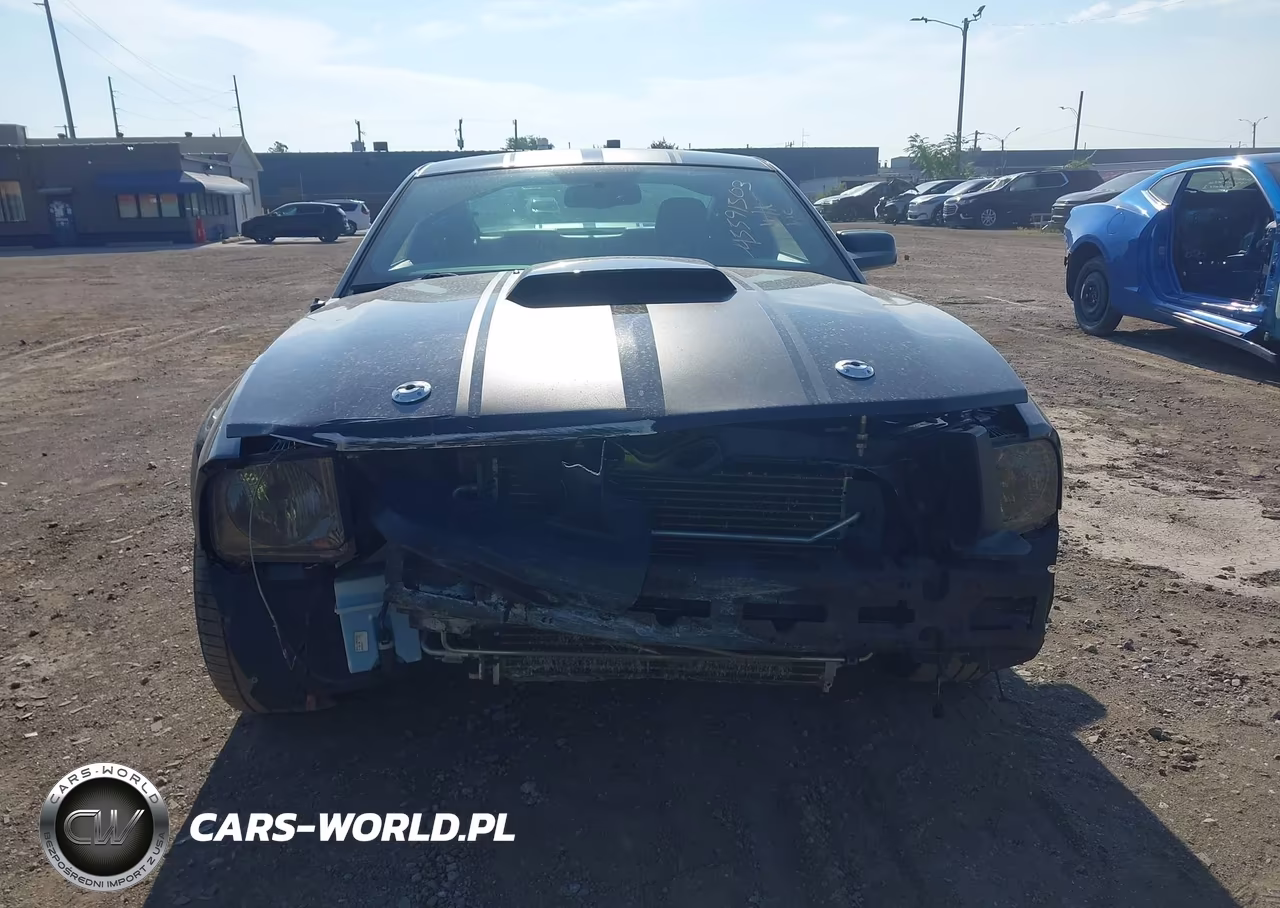2008 Ford Mustang Gt Deluxe-Gt Premium VIN:1ZVHT82H485199044 - 13