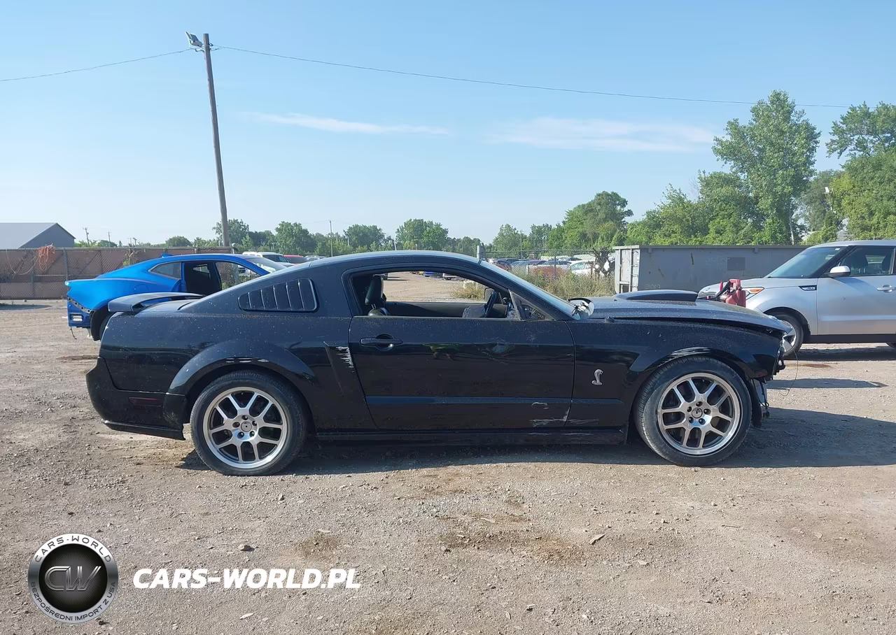 2008 Ford Mustang Gt Deluxe-Gt Premium VIN:1ZVHT82H485199044 - 14