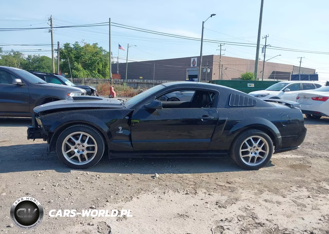 2008 Ford Mustang Gt Deluxe-Gt Premium VIN:1ZVHT82H485199044 - 15