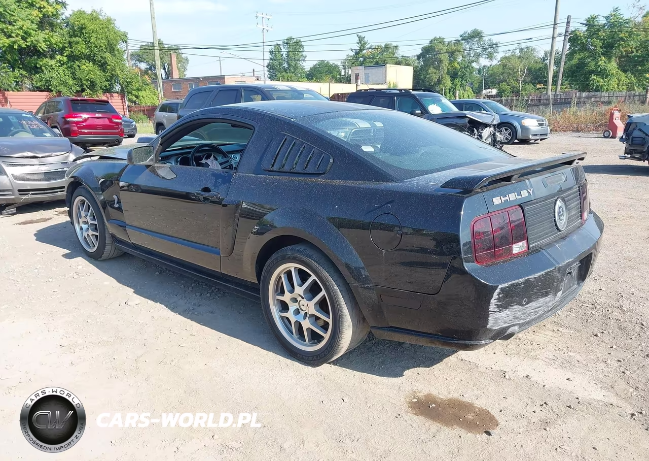 2008 Ford Mustang Gt Deluxe-Gt Premium VIN:1ZVHT82H485199044 - 3