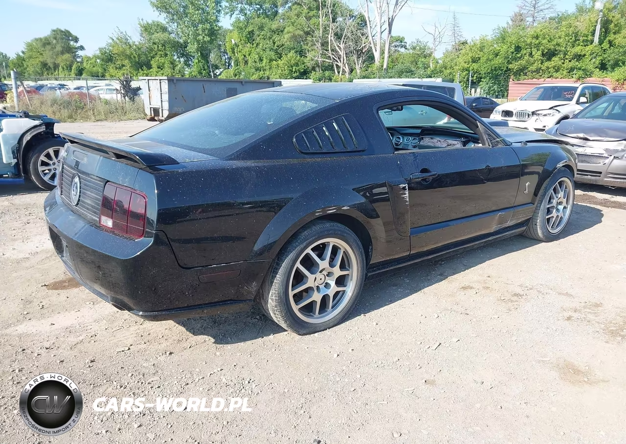 2008 Ford Mustang Gt Deluxe-Gt Premium VIN:1ZVHT82H485199044 - 4