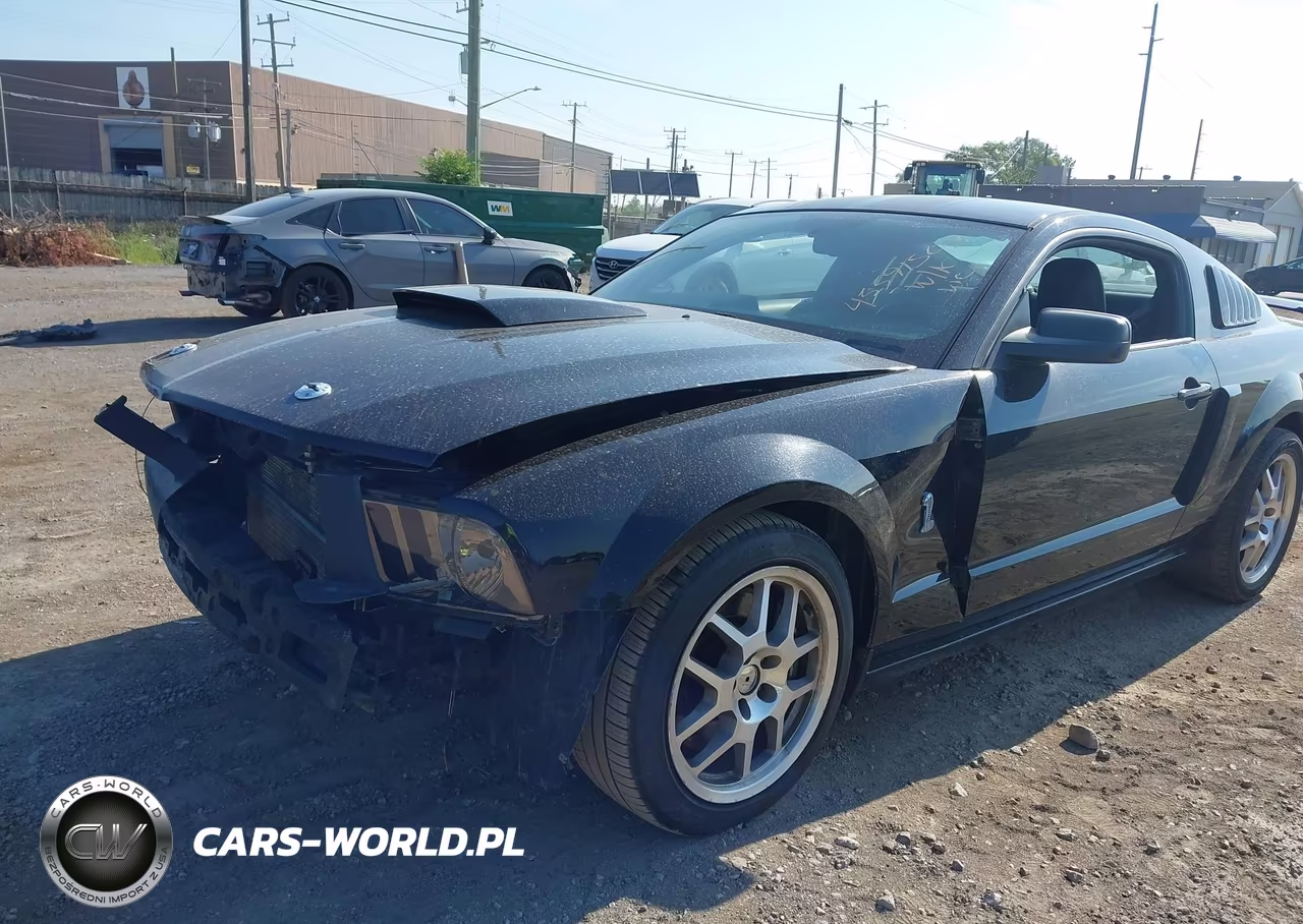 2008 Ford Mustang Gt Deluxe-Gt Premium VIN:1ZVHT82H485199044 - 6
