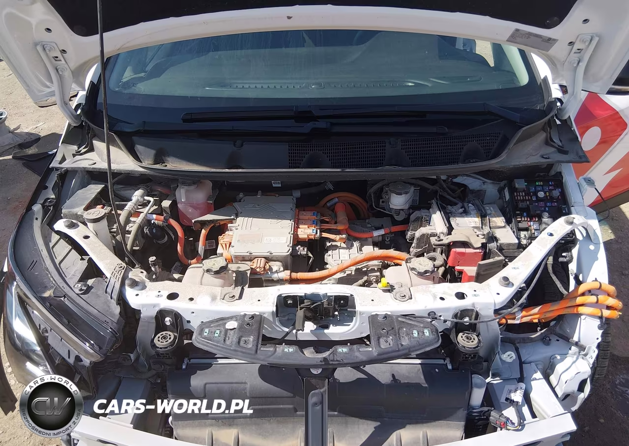 2023 Chevrolet Bolt Ev Fwd 1Lt VIN:1G1FW6S02P4107667 - 10