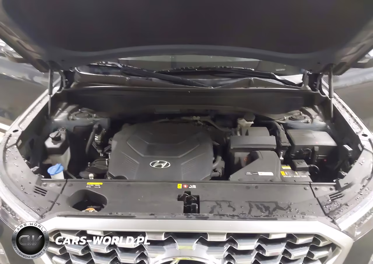 2020 Hyundai Palisade Sel VIN:KM8R4DHE4LU084609 - 10