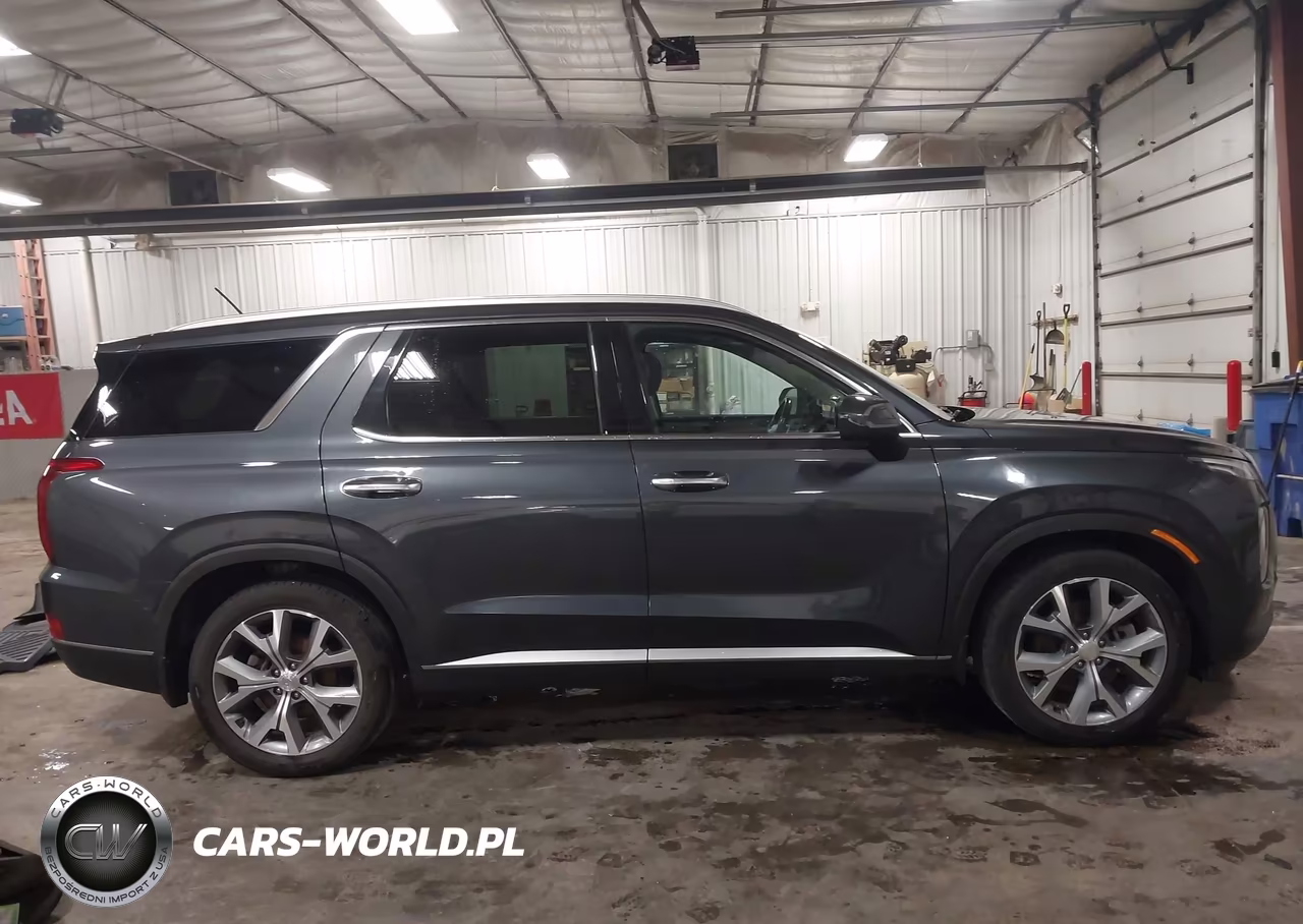 2020 Hyundai Palisade Sel VIN:KM8R4DHE4LU084609 - 13
