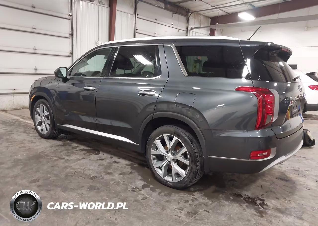 2020 Hyundai Palisade Sel VIN:KM8R4DHE4LU084609 - 3