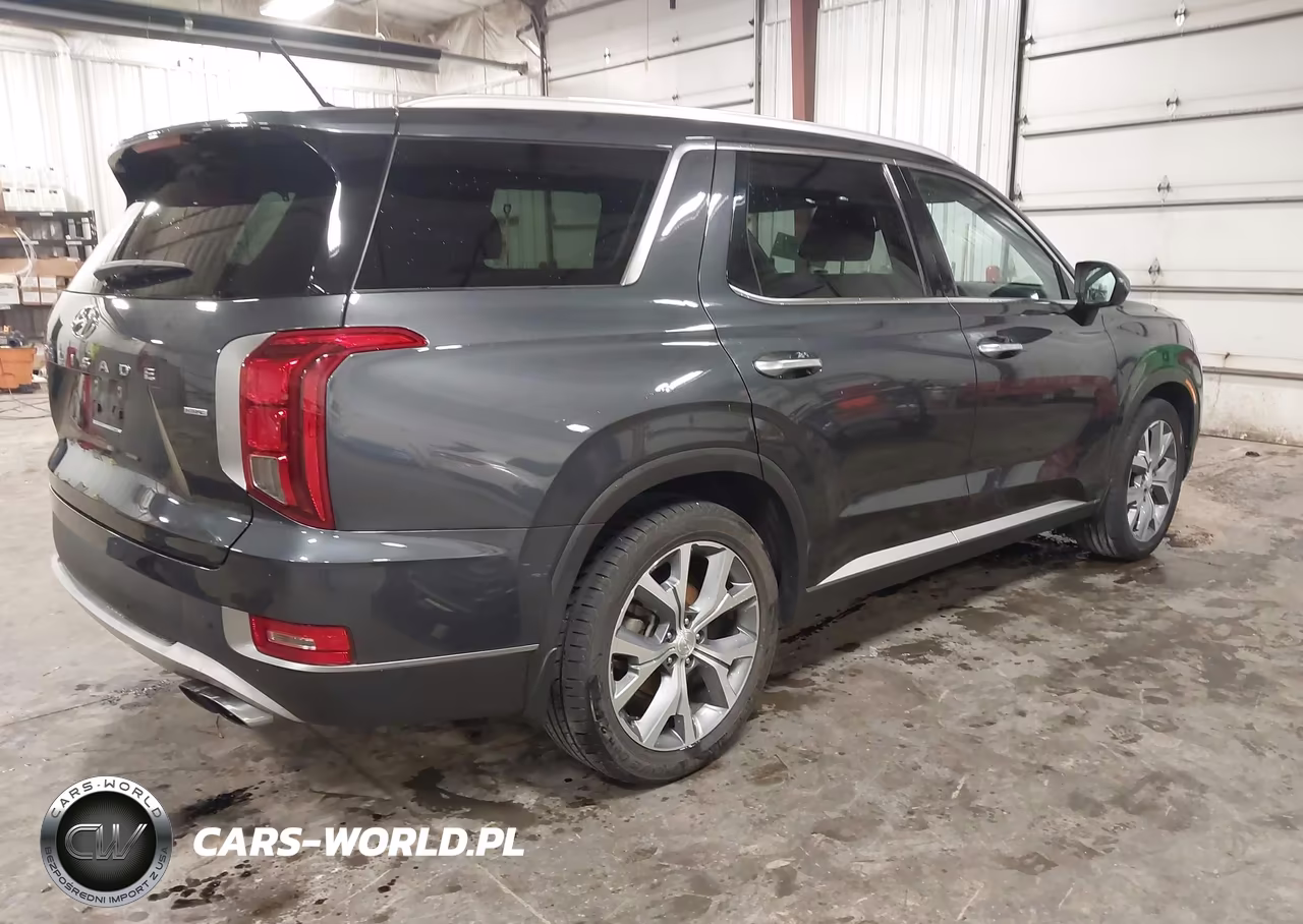 2020 Hyundai Palisade Sel VIN:KM8R4DHE4LU084609 - 4