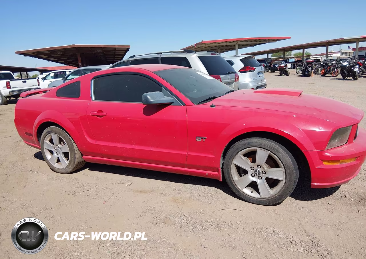 2007 Ford Mustang Gt Deluxe-Gt Premium VIN:1ZVFT82H075205430 - 13