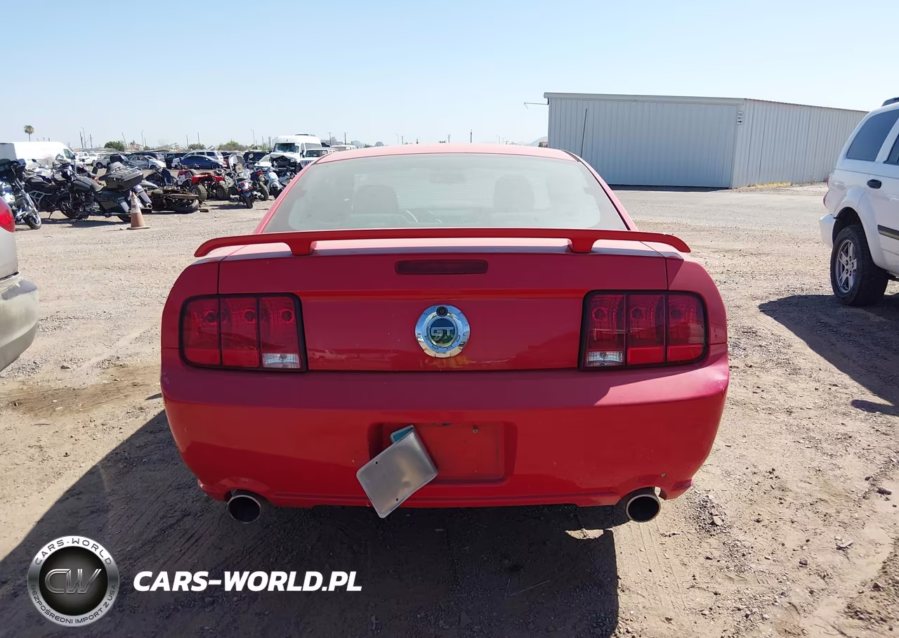 2007 Ford Mustang Gt Deluxe-Gt Premium VIN:1ZVFT82H075205430 - 16
