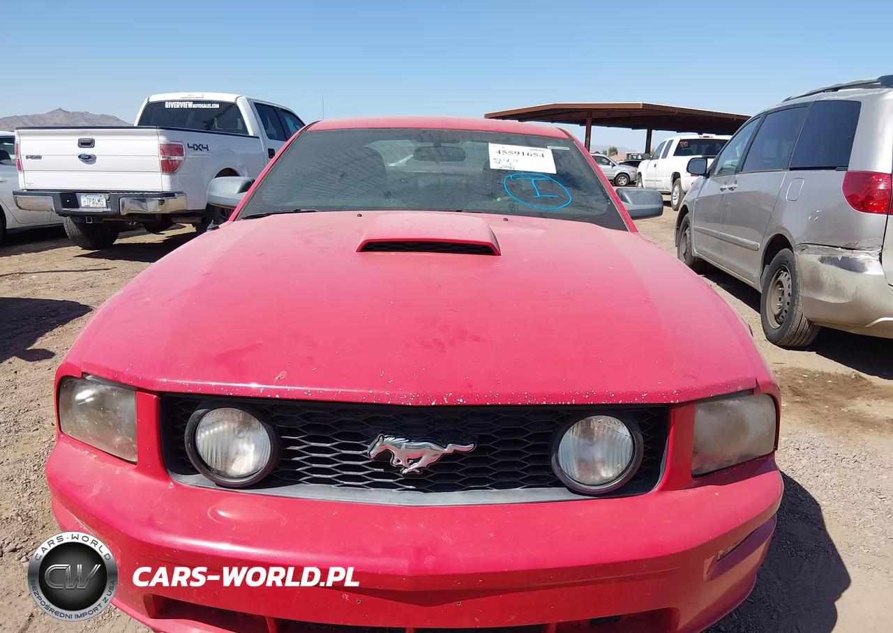 2007 Ford Mustang Gt Deluxe-Gt Premium VIN:1ZVFT82H075205430 - 6