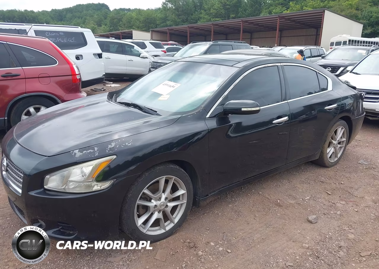 2011 Nissan Maxima 3.5 Sv VIN:1N4AA5AP8BC853599 - 2
