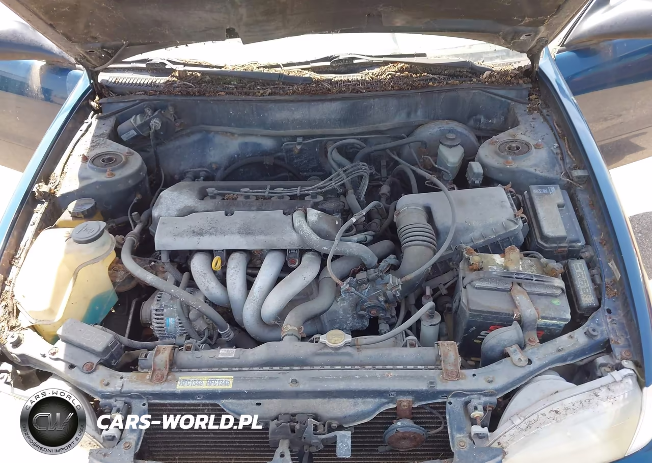 1998 Toyota Corolla Ve VIN:1NXBR12E4WZ040303 - 10