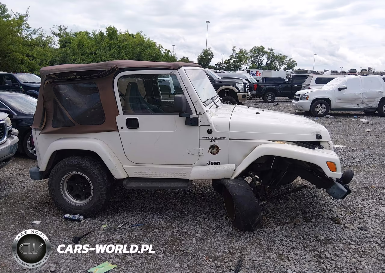 2000 Jeep Wrangler Sahara VIN:1J4FA59S1YP701023 - 12